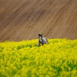 Aktualne optymalizacja treści w obliczu nowości zachodzących w wynikach wyszukiwania i sieciach społecznościowych
